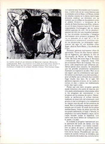 LAMINA V43563: La siembra del Speculum virginum