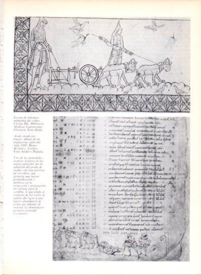 LAMINA V43564: Escena de labranza del codice Civitas Dei 