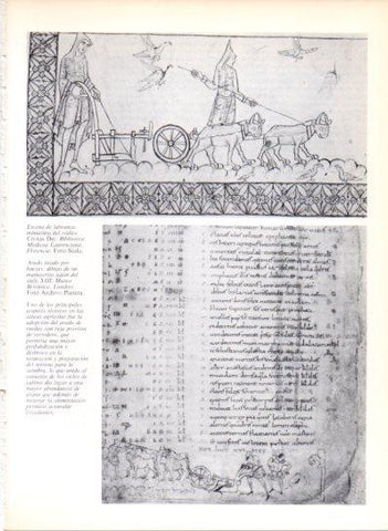 LAMINA V43564: Escena de labranza del codice Civitas Dei 