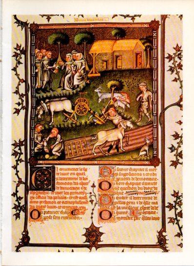 LAMINA V43565: Comunidad religiosa en labores agricolas