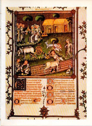 LAMINA V43565: Comunidad religiosa en labores agricolas