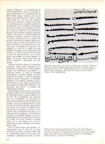 LAMINA V43584: Instrumentos quirurgicos de la Chirurgia de Abulcasis