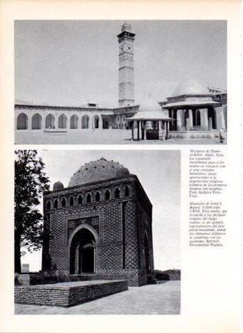 LAMINA V43472: Mezquita de Djami el-Kebir y Mausoleo de Isma'il Bujara