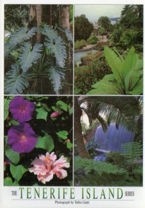 POSTAL PV12173:  Jardines Tropicales, Puerto de la Cruz