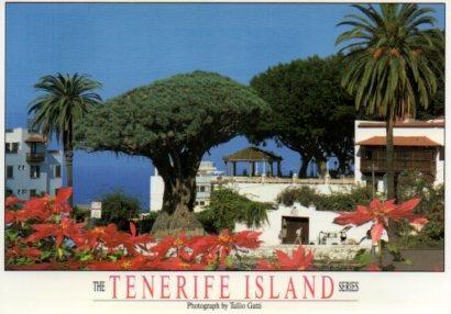 POSTAL PV12174: Drago Milenario, Tenerife