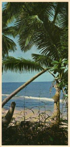 POSTAL PV12205: Plage, Afrique
