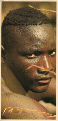 POSTAL PV12203: Casamance, Afrique