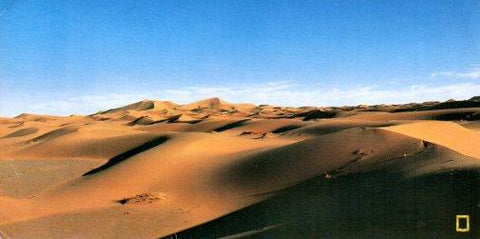 POSTAL PV12229: Les Dunes de Sable Merzouga, Maroc