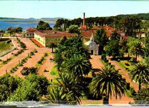 POSTAL PV11935: Isla de la Toja. Capilla y Balneario