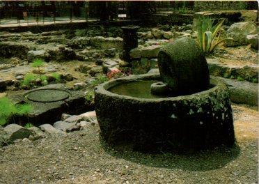 POSTAL PV12030: Capharnaum. Ancient Olive Press