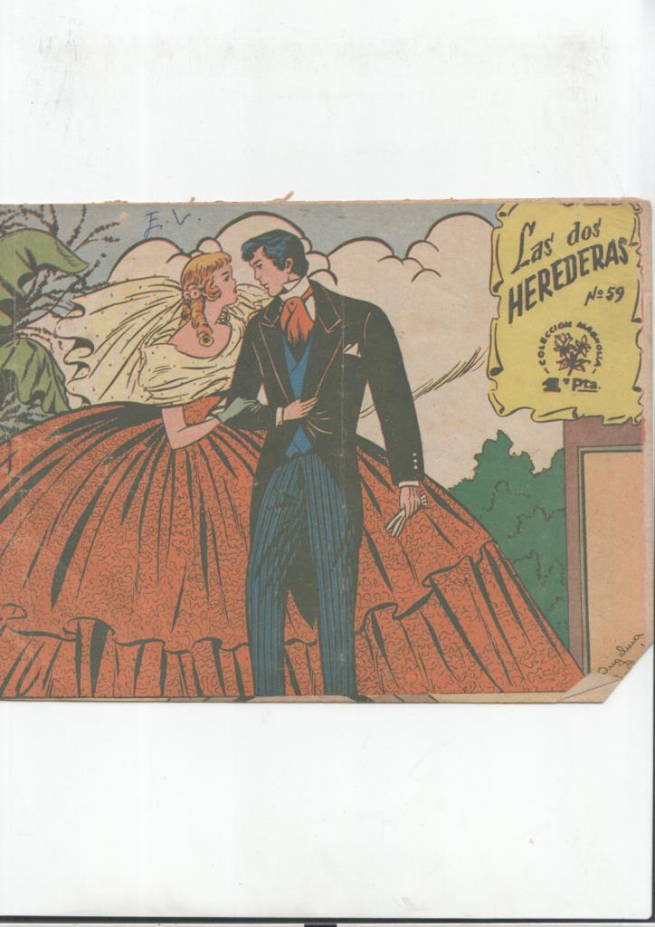 Coleccion Magnolia numero 59: Las dos herederas