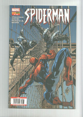 Panini: Spiderman mensual numero 43: Pecados del pasado, parte 4
