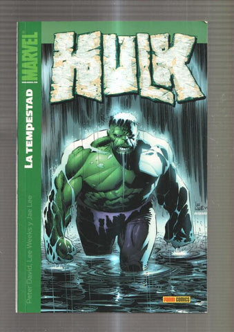 Panini: Hulk numero 6: La tempestad