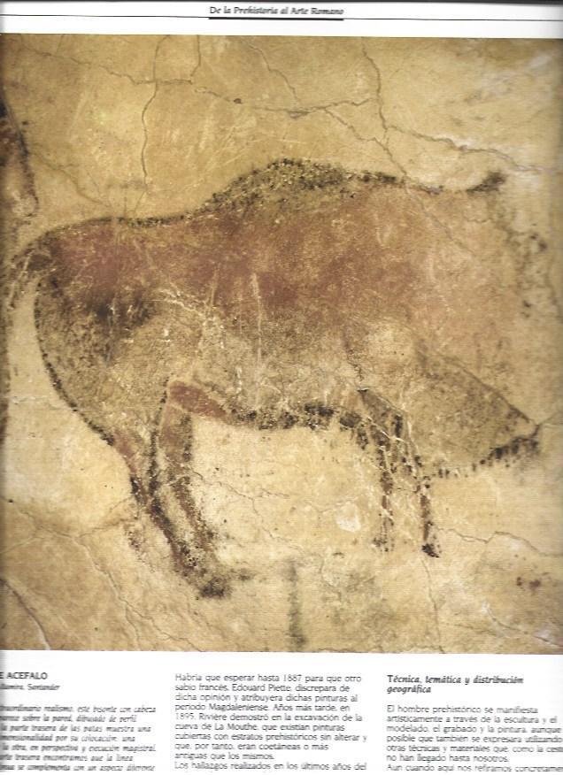 LAMINA 37312: Bisonte acefalo de la Cueva de Altamira
