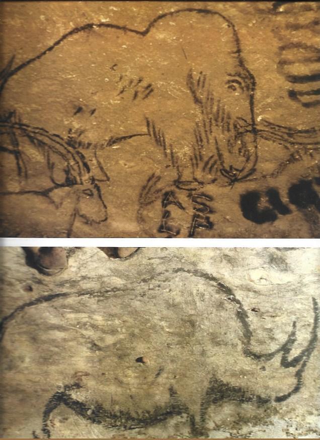 LAMINA 37315: Pinturas rupestres de animales