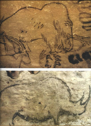 LAMINA 37315: Pinturas rupestres de animales