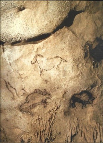 LAMINA 37316: Caballo y bisontes
