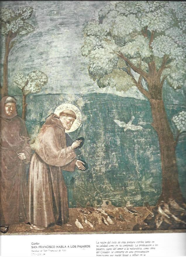 LAMINA 37390: San Francisco habla a los pajaros, por Giotto