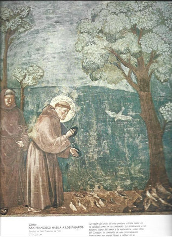 LAMINA 37390: San Francisco habla a los pajaros, por Giotto
