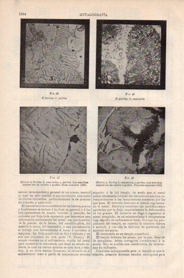 LAMINA V43915: Ferrita, perlita y hierro