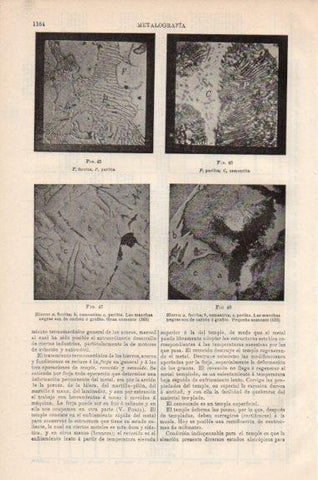 LAMINA V43915: Ferrita, perlita y hierro