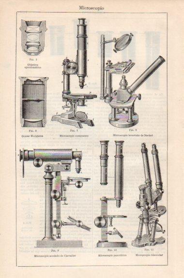 LAMINA V43957: Microscopio