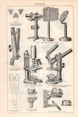 LAMINA V43958: Tipos de microscopio