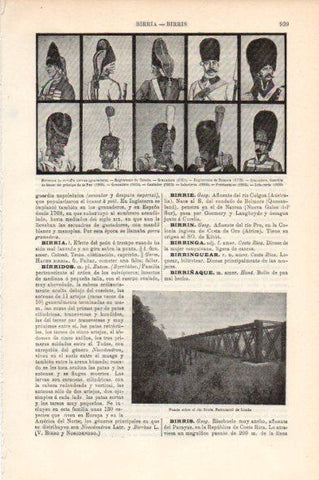LAMINA V44083: Birretinas de guardia