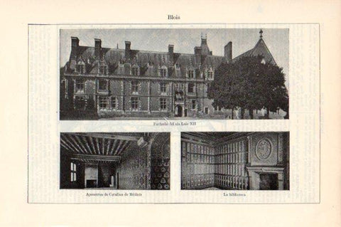 LAMINA V44121: Castillo de Blois, Francia