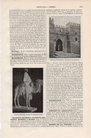 LAMINA V43758: Murallas en Mehedia, Marruecos