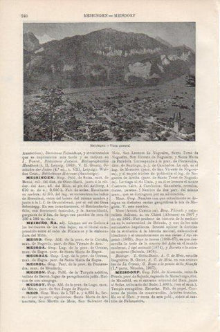 LAMINA V43764: Vista general de Meiringen, Suiza