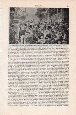 LAMINA V43863: El mercado central de Paris por Lhermitte