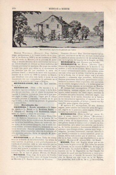 LAMINA V43894: Merodeadores por Callot