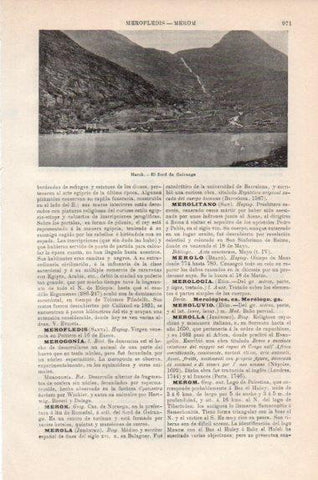 LAMINA V43895: Fiordo de Geirange en Merok, Noruega