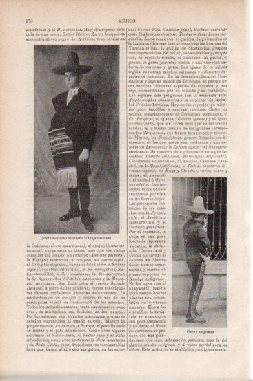 LAMINA V43771: Charro de Mejico