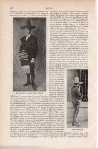 LAMINA V43771: Charro de Mejico