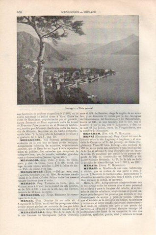 LAMINA V43828: Vista general de Menaggio