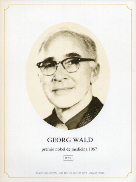 LAMINA V44365: Georg Wald