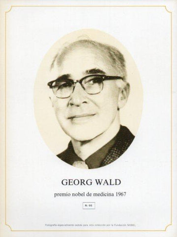 LAMINA V44365: Georg Wald