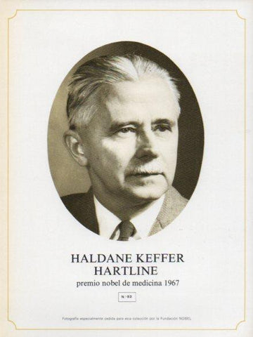 LAMINA V44363: Haldane Keffer Hartline