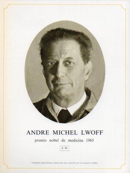 LAMINA V44380: Andrew Michel Lwoff