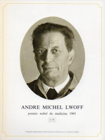 LAMINA V44380: Andrew Michel Lwoff