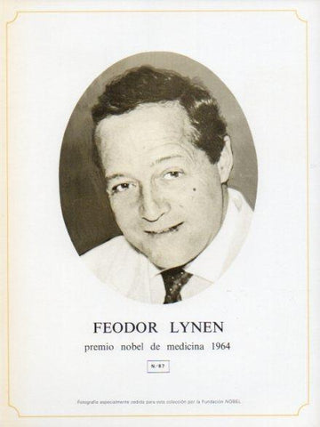 LAMINA V44378: Feodor Lynen