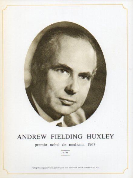 LAMINA V44376: Andrew Fielding Huxley