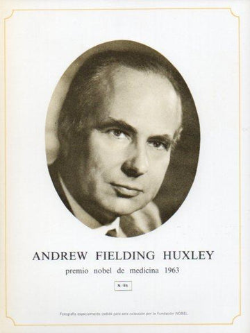 LAMINA V44376: Andrew Fielding Huxley