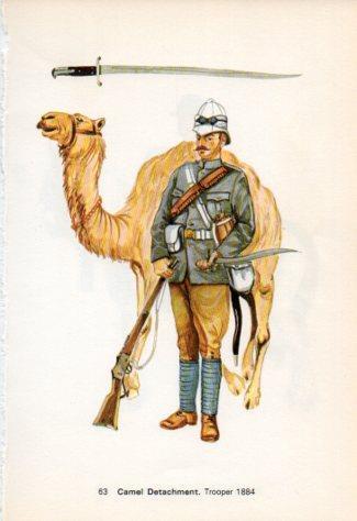LAMINA V44253: Camel Detachment. Trooper 1884