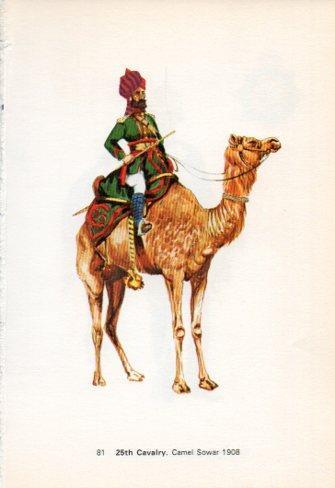 LAMINA V44262: 25th Cavalry. Camel Sowar 1908