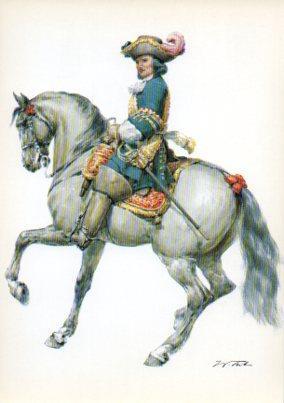 LAMINA V44208: Kurbranderburg 1674. Offizier