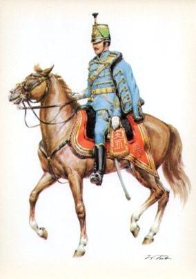 LAMINA V44204: Kaiserreich Osterreich 1859. Offizier