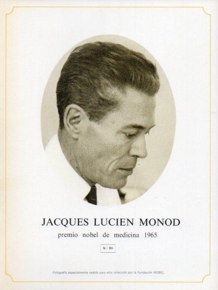 LAMINA V44334: Jacques Lucien Monod